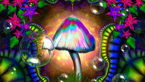 magic_mushroom_Wallpaper_ikexy